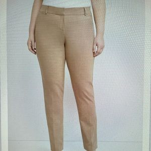 Lane Bryant. Straight leg pants